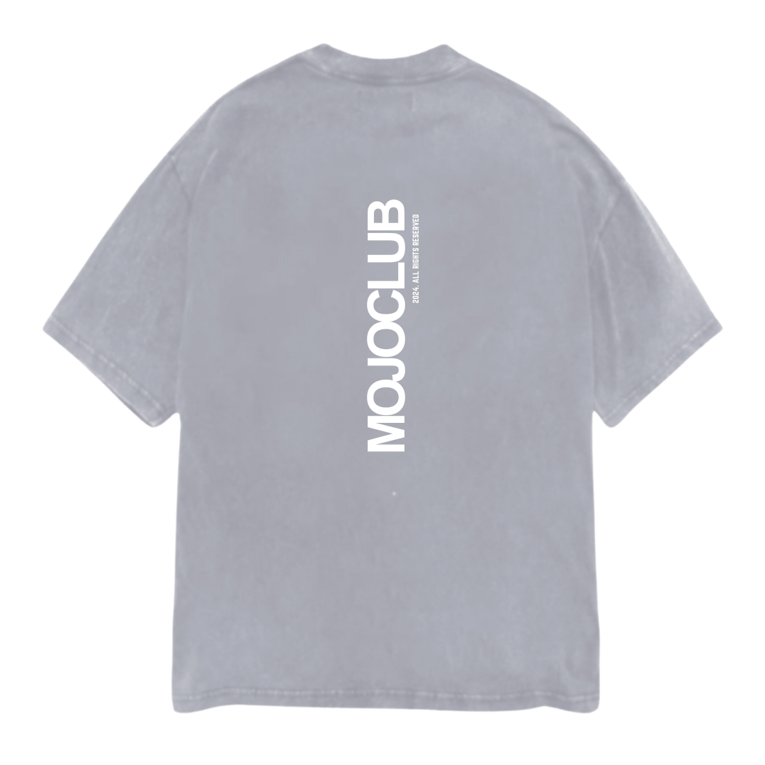 INITIAL T-SHIRT - Washed grey